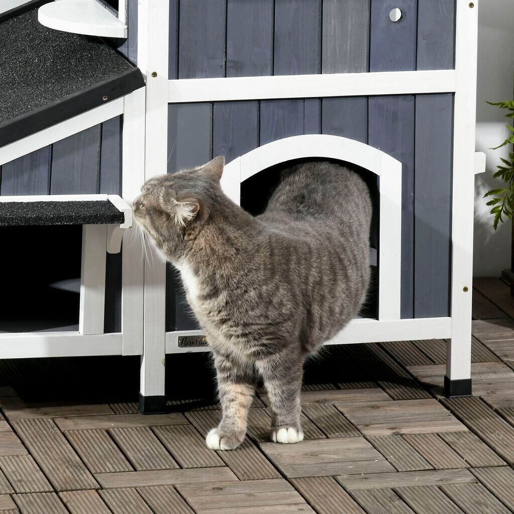 Pawhut Maison pour chat Pawhut Maison pour chat