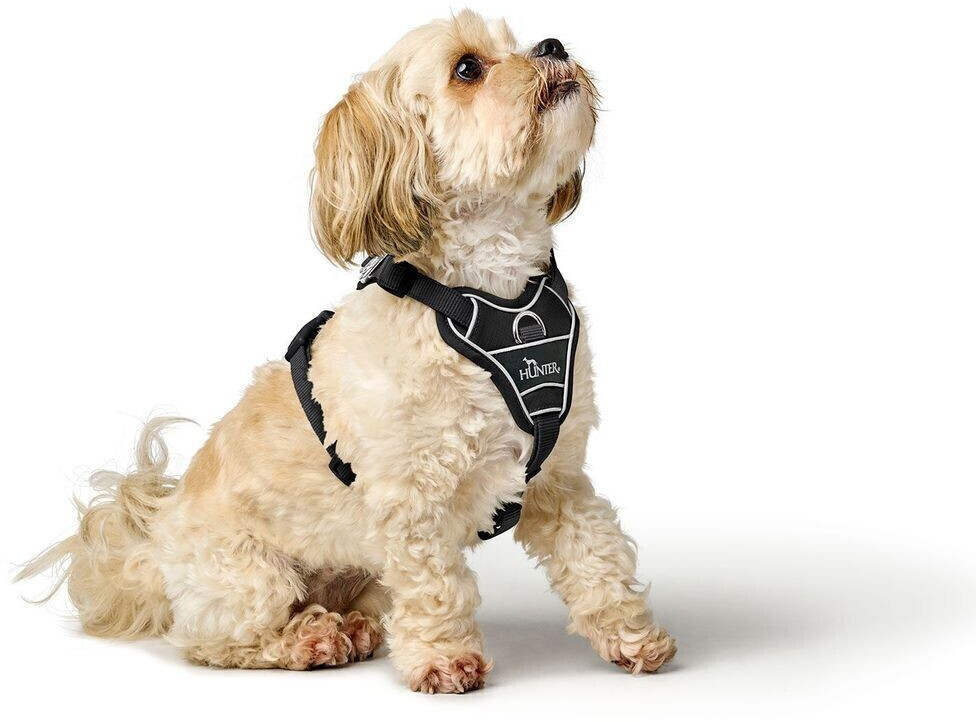 HUNTER Harnais pour chien S 1.5cm Black