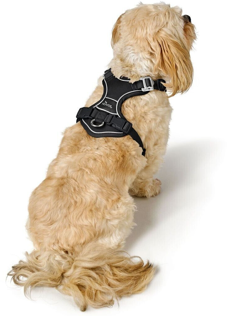 HUNTER Harnais pour chien S 1.5cm Black