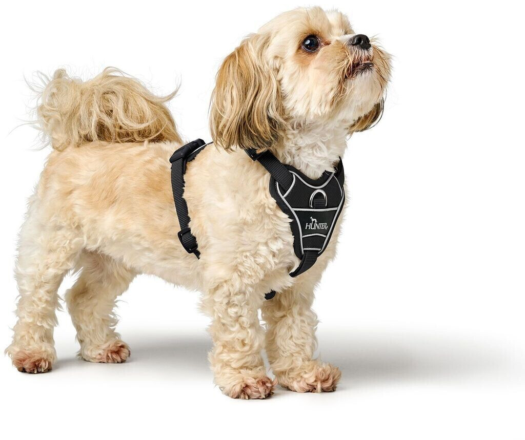 HUNTER Harnais pour chien L-XL 2.5cm Black HUNTER Harnais pour chien L-XL 2.5cm Black