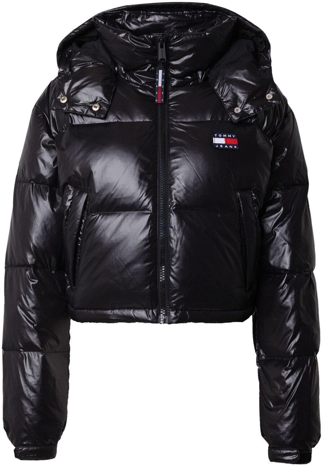 Tommy Hilfiger Jacket Alaska (DW0DW16572) black