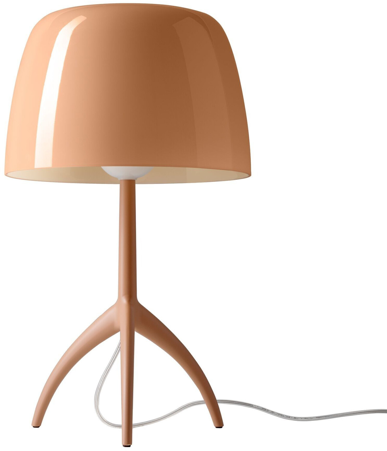 Foscarini FN026001E_61D
