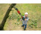 Bosch AkkuGartenschere AdvancedPrune 18V45 ab 155,00 € (Mai 2025
