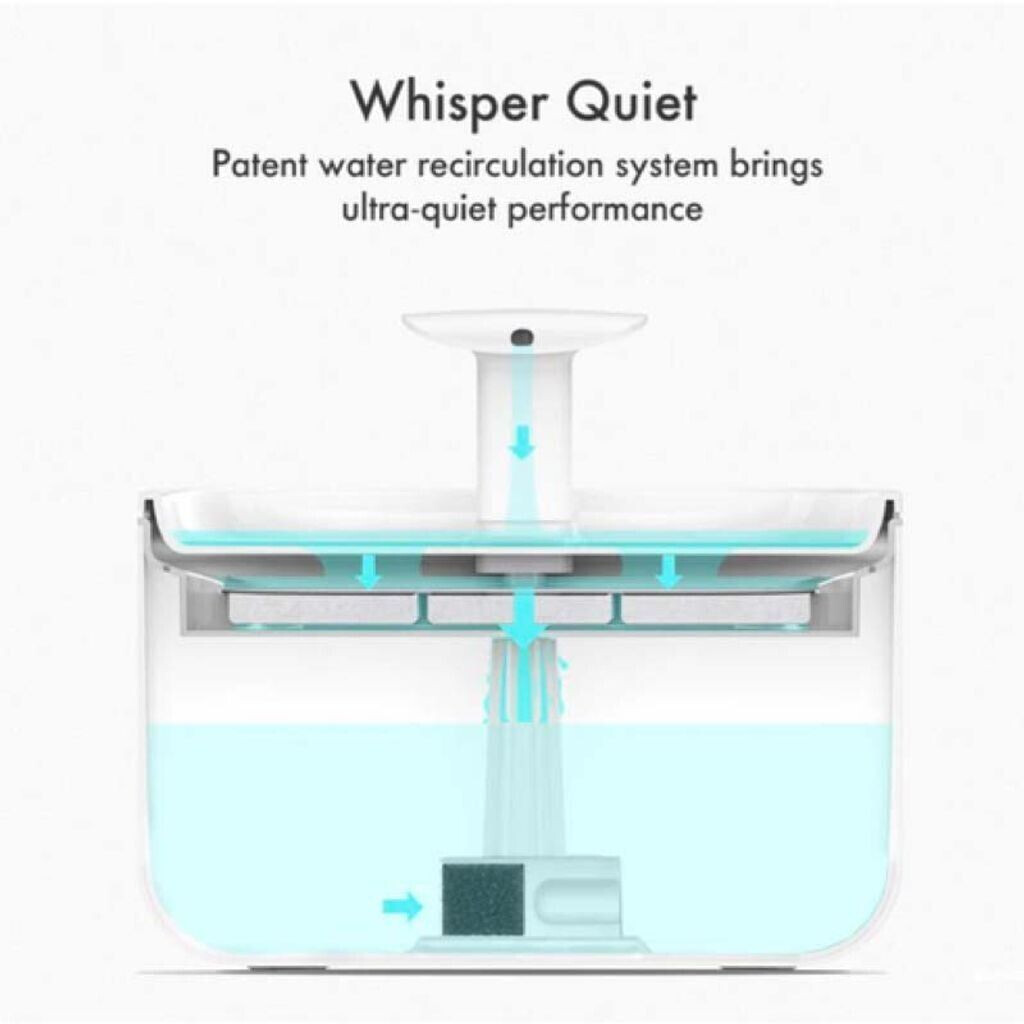 Petlibro Fontaine à eau pour chat