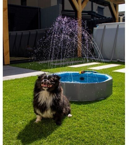 Flamingo Piscine pour chien 80x20cm Blue/Grey Flamingo Piscine pour chien 80x20cm Blue/Grey
