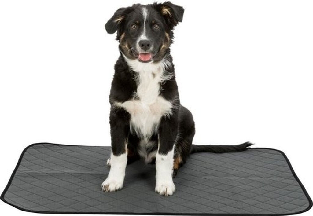 Trixie Tapis de propreté pour chien 60x60cm grey