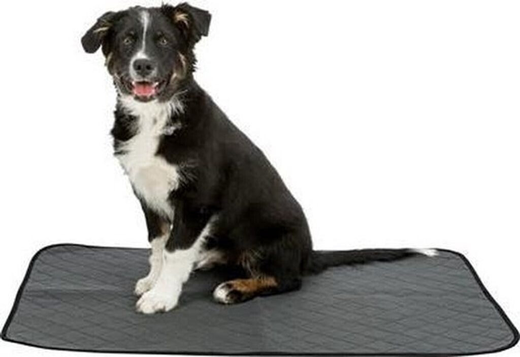 Trixie Tapis de propreté pour chien 60x60cm grey