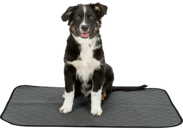 Trixie Tapis de propreté pour chien 40x60cm Grey
