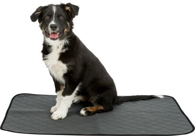 Trixie Tapis de propreté pour chien 40x60cm Grey