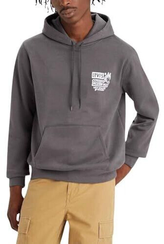 Levi's Standard Graphic Hoodie (38424) blacks
