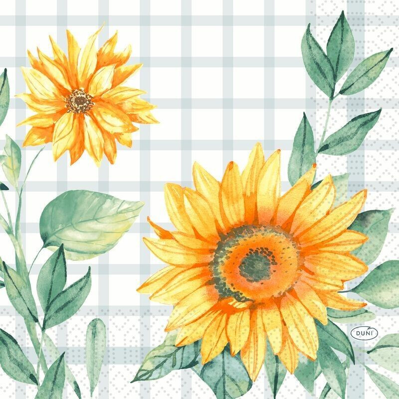 Duni 500 TissueServietten 33x33 cm Sunflower Day 3lagig (202459) ab