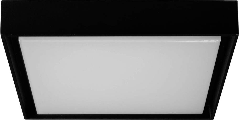 Brumberg 280519
