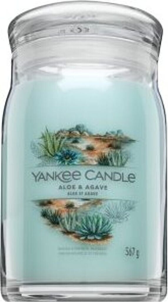 Yankee Candle Aloe & Agave 567g