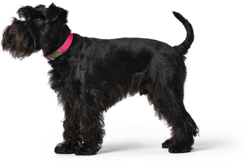 HUNTER Collier pour chien raspberry 35 HUNTER Collier pour chien raspberry 35