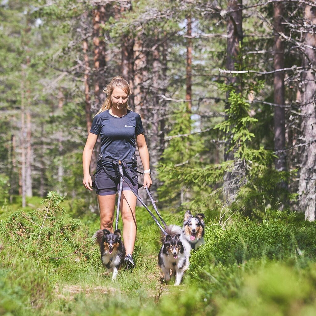 Non-stop dogwear Harnais pour chien blue