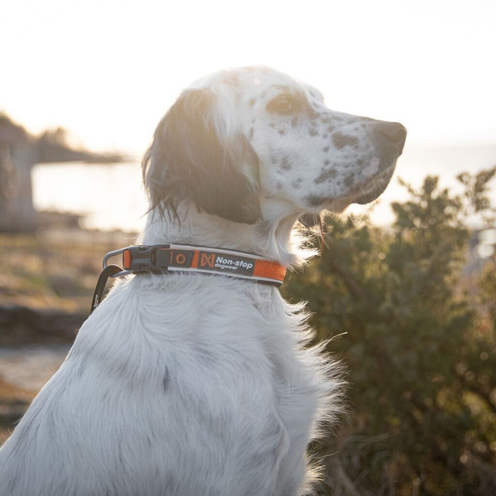 Non-stop dogwear Collier pour chien orange S Non-stop dogwear Collier pour chien orange S