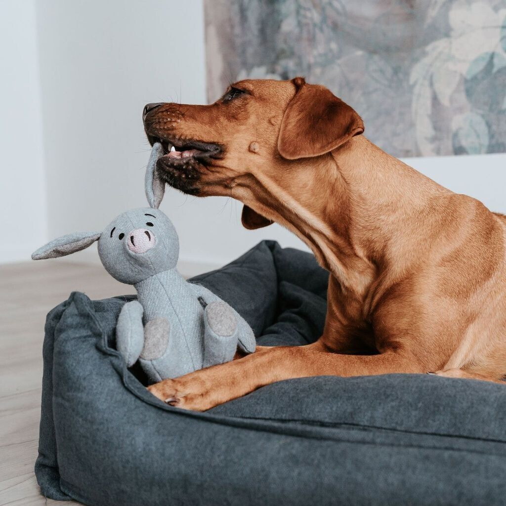 HUNTER Jouet d'occupation pour chien HUNTER Jouet d'occupation pour chien