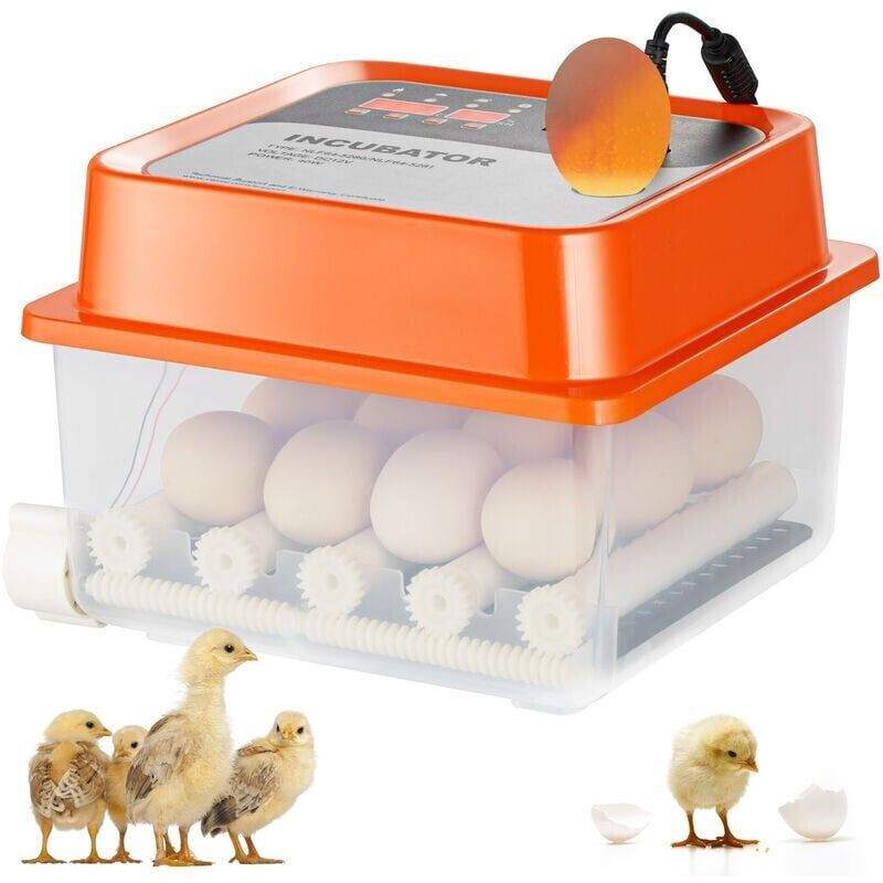 VEVOR Couveuse automatique 12 œufs
