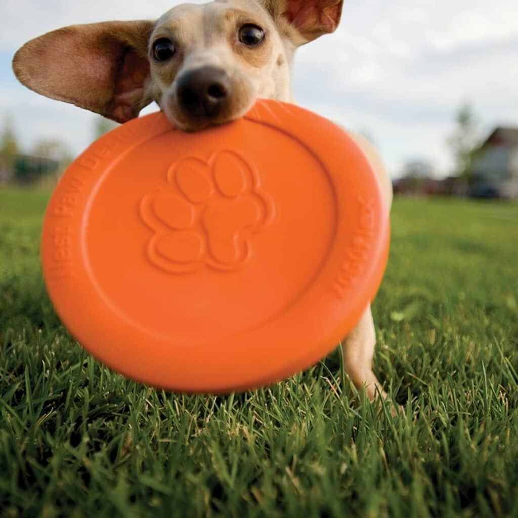 Westpaw Frisbee pour chien Westpaw Frisbee Zisc 22cm orange Westpaw Frisbee pour chien Westpaw Frisbee Zisc 22cm orange