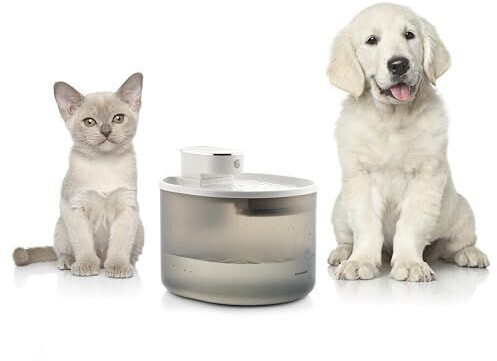 InnovaGoods Fontaine à eau pour chat InnovaGoods Fontaine à eau pour chat