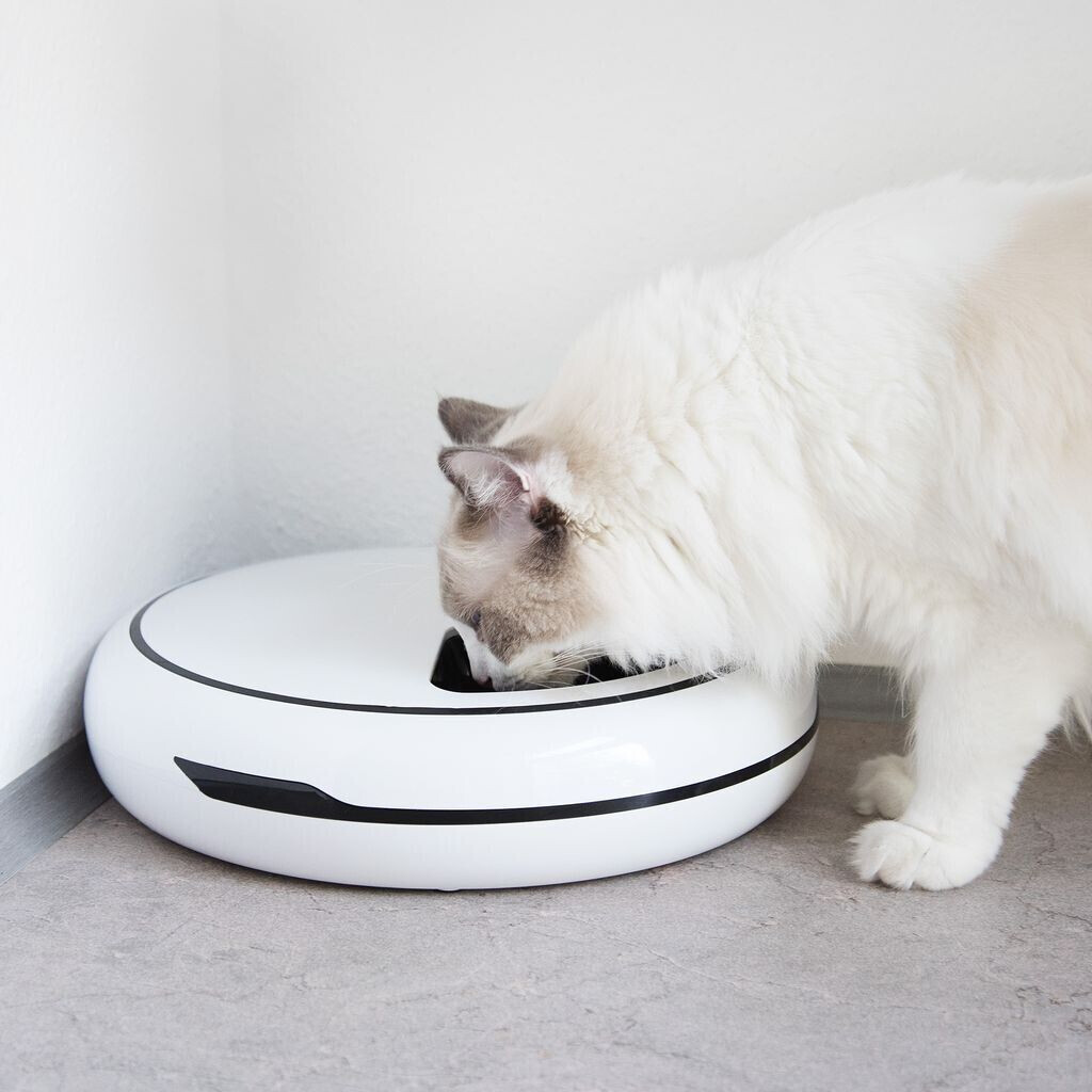 Navaris Distributeur de nourriture pour chat Navaris Distributeur de nourriture pour chat