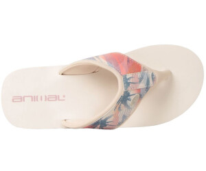 Animal swish shop