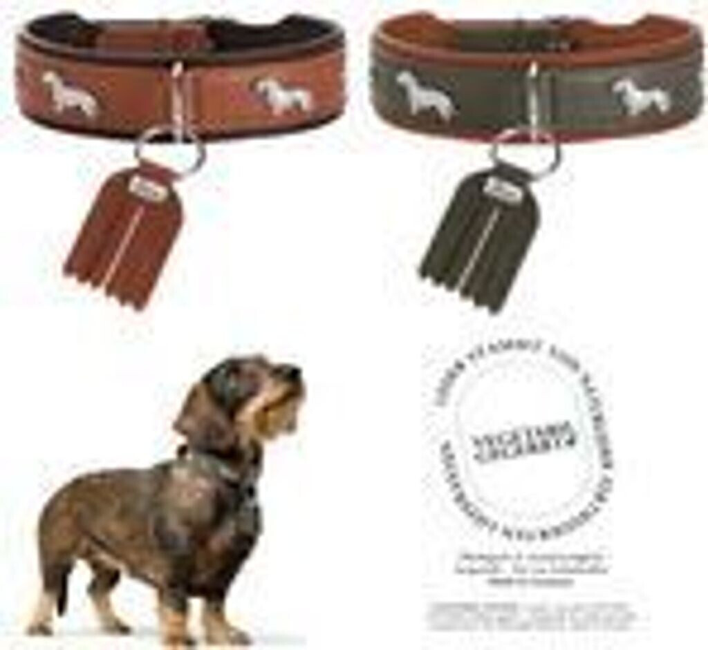 HUNTER Teckel-halsband München, kleur: groen/cognac, leer, edele teckel inzetstukken, zacht en robuust, zacht voor de huid, luxe, ecologisch
