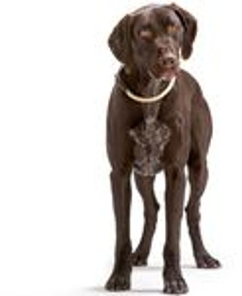 HUNTER Collier pour chien Freestyle collar red 45cm 10mm HUNTER Collier pour chien Freestyle collar red 45cm 10mm