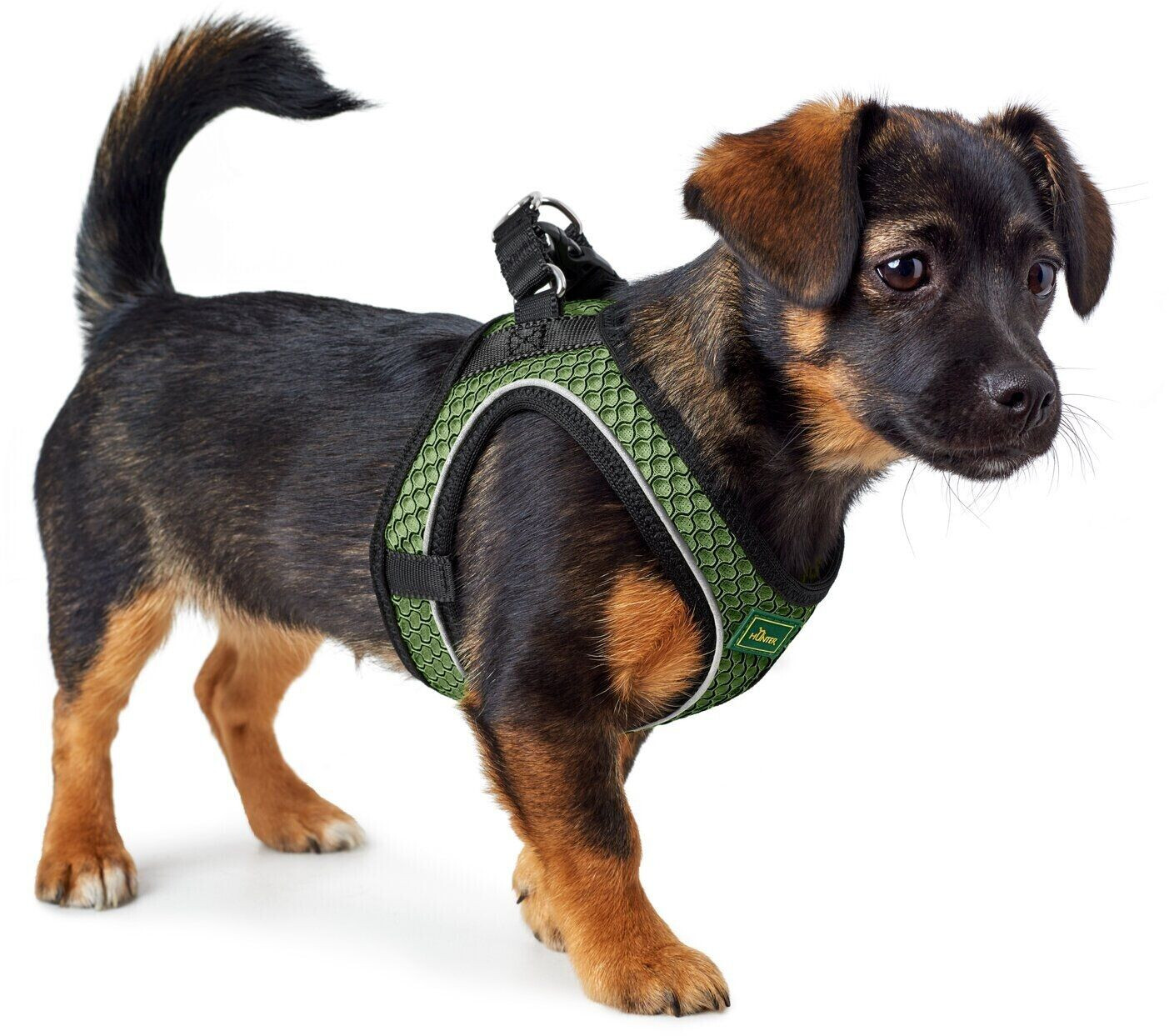 HUNTER Harnais pour chien lime green S-M HUNTER Harnais pour chien lime green S-M