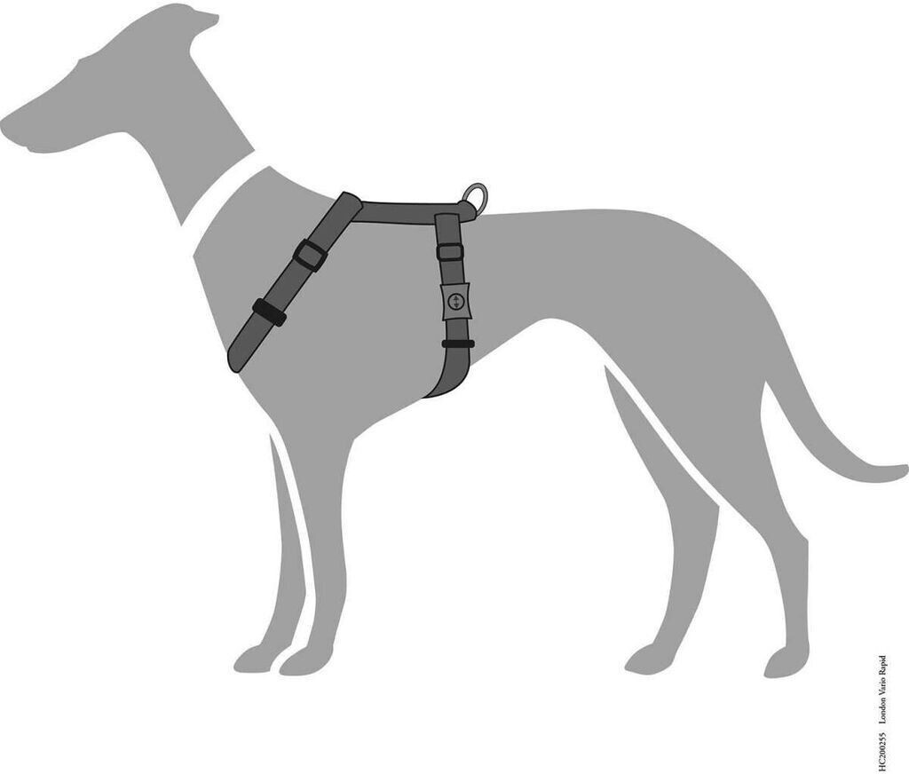 HUNTER Harnais pour chien anthracite XXS/1 1.0cm HUNTER Harnais pour chien anthracite XXS/1 1.0cm