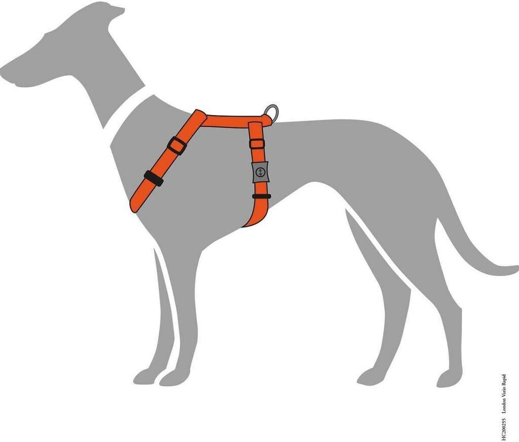 HUNTER Harnais pour chien orange XXS/1 1.0cm HUNTER Harnais pour chien orange XXS/1 1.0cm
