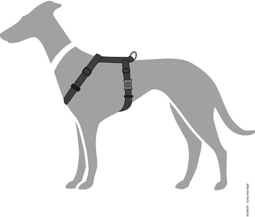HUNTER Harnais pour chien black XXS/1 1.0cm HUNTER Harnais pour chien black XXS/1 1.0cm