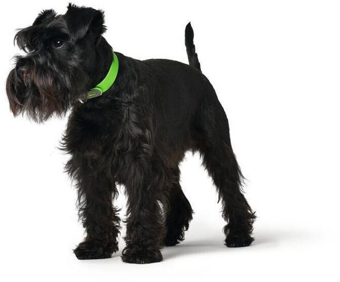 HUNTER Collier pour chien HUNTER Collier pour chien