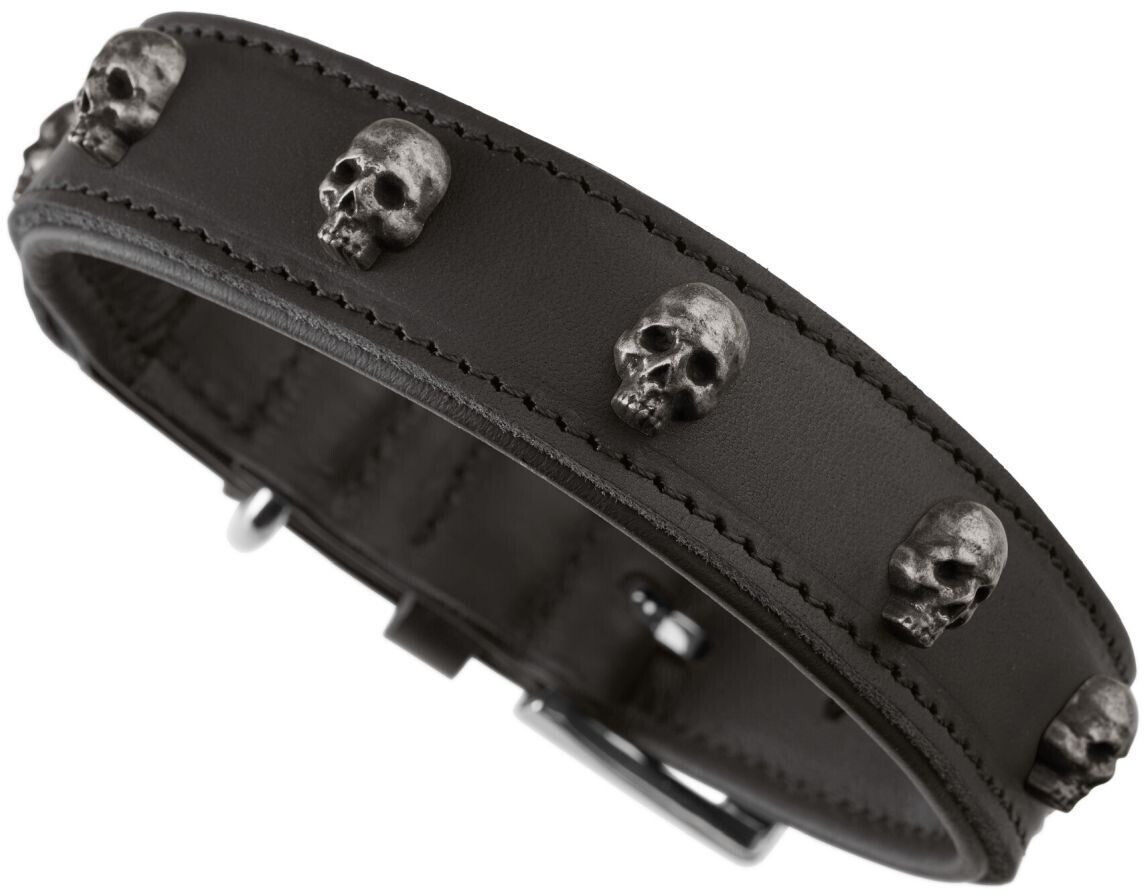 HUNTER Collier pour chien HUNTER Collier pour chien