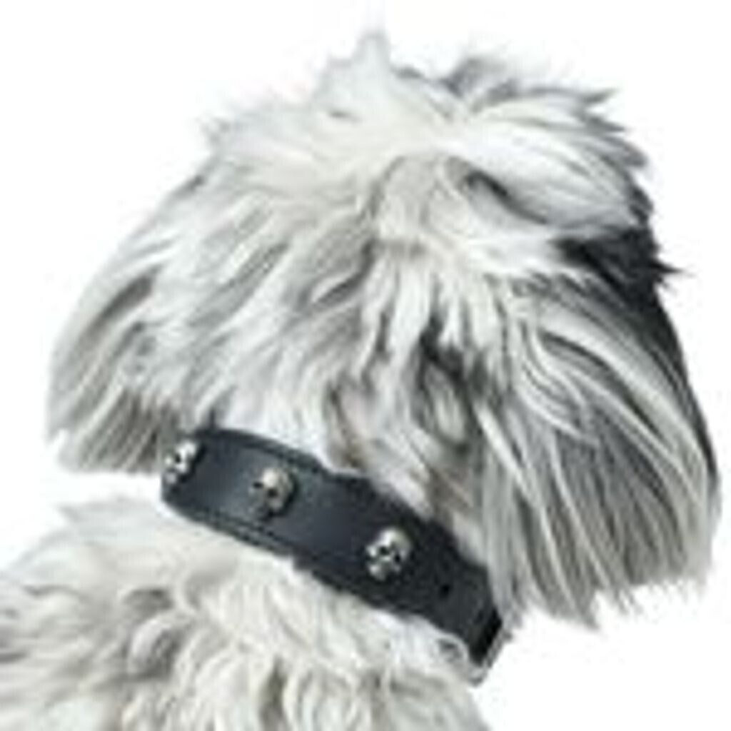 HUNTER Collier pour chien HUNTER Collier pour chien