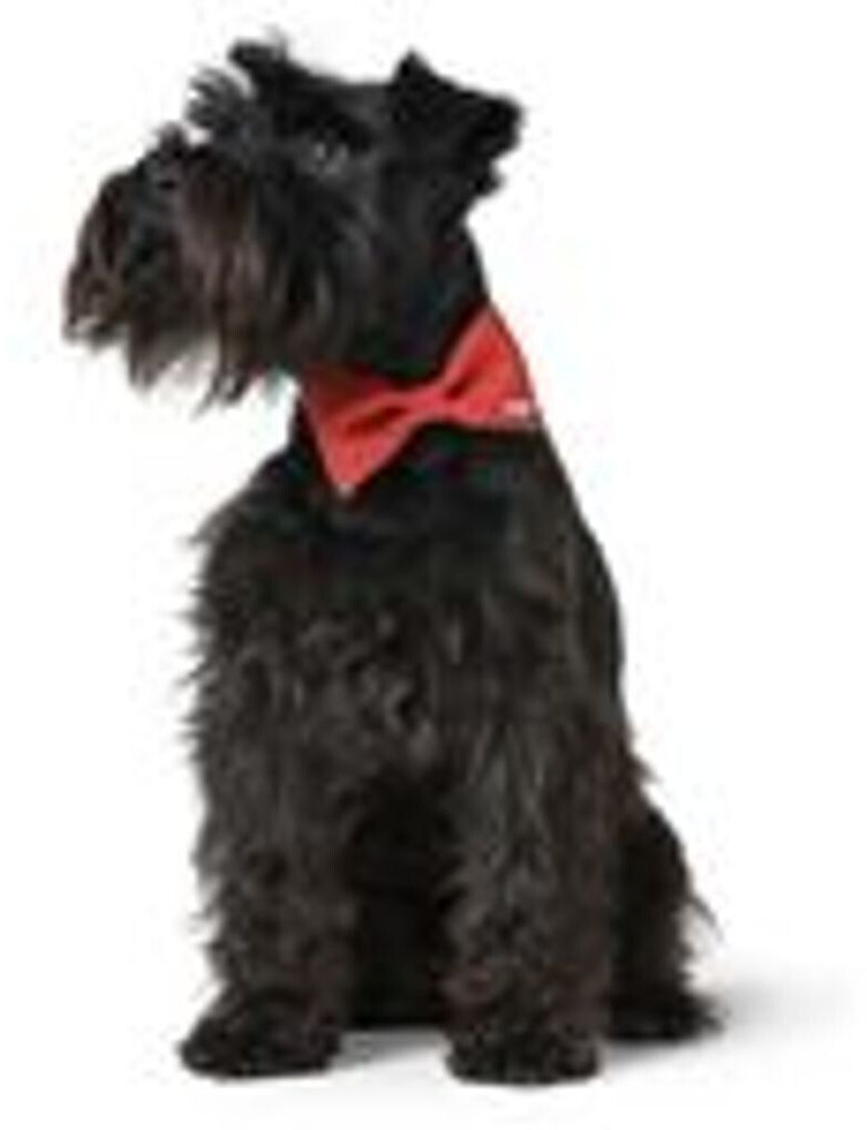 HUNTER Collier pour chien 69229 HUNTER Collier pour chien 69229
