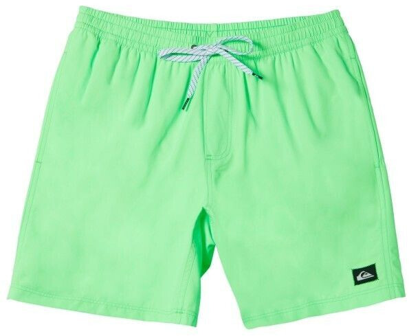 Quiksilver Everyday Solid Volley Swim Shorts (AQYJV03153) green gecko
