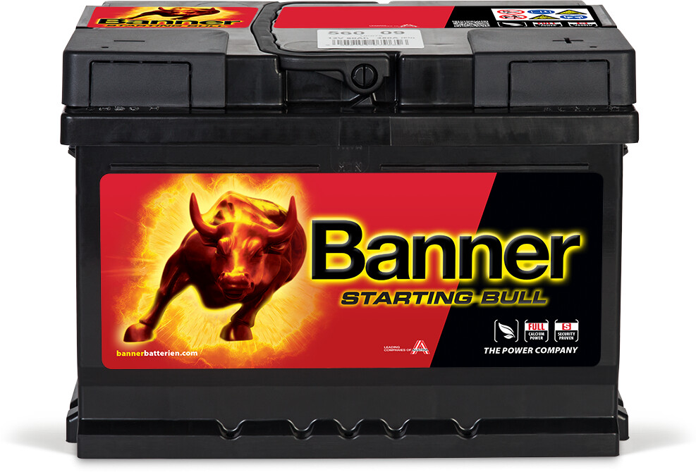 Banner 12V 60Ah Pool 56009
