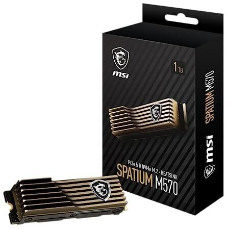MSI Spatium M570