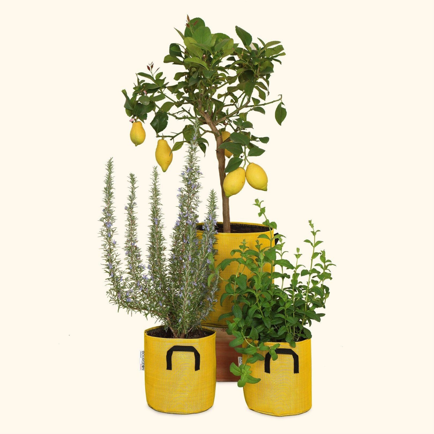 Bourgeon Pot en géotextile respirant 50 cm