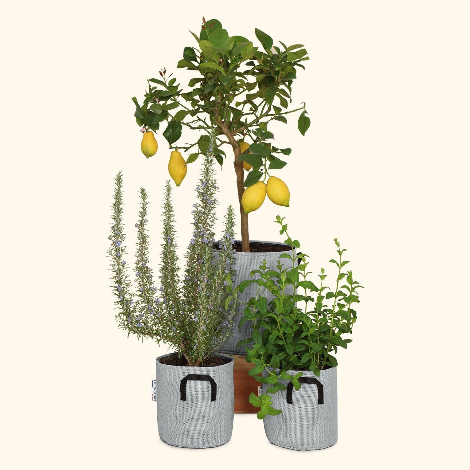 Bourgeon Pot en géotextile respirant 50 cm gris