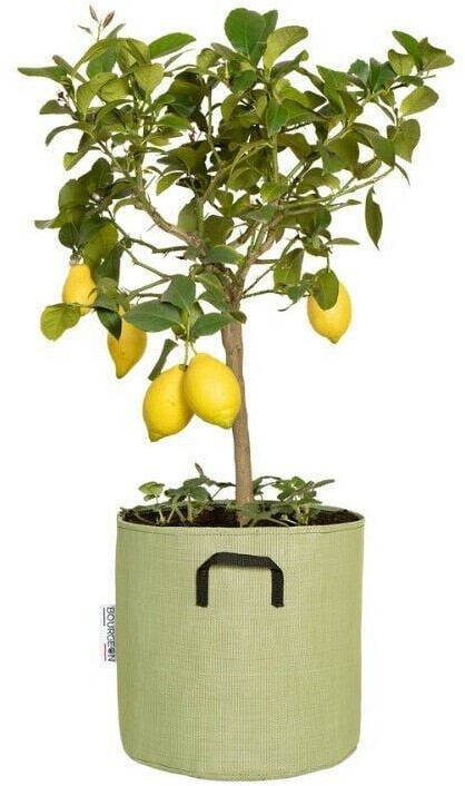 Bourgeon Pot en géotextile respirant 30 cm