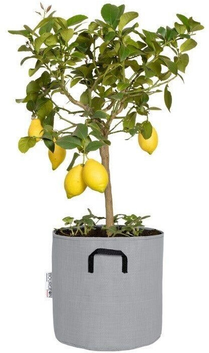Bourgeon Pot en géotextile respirant 30 cm gris