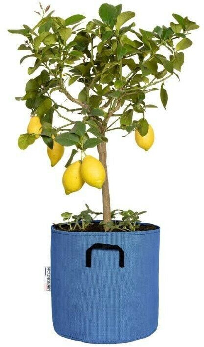 Bourgeon Pot en géotextile respirant 30 cm bleu