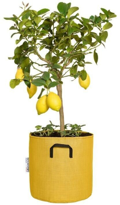 Bourgeon Pot en géotextile respirant 30 cm jaune