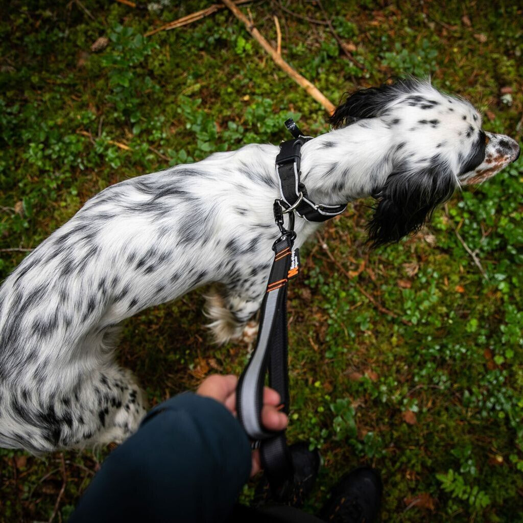 Non-stop dogwear Laisse classique pour chien Adjustable 13mm