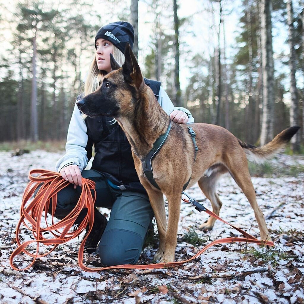 Non-stop dogwear Longe pour chien orange 15m Non-stop dogwear Longe pour chien orange 15m