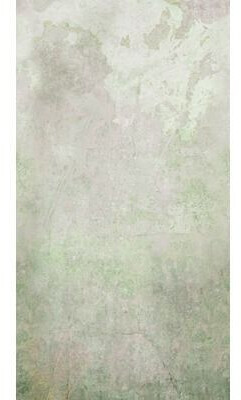 Art for the home 105399