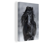MuchoWow Spritzschutz Für Küchenrückwand – Alu-Poster Mit Pferde-Porträt, 60x40 Cm, Schwarz-weiß