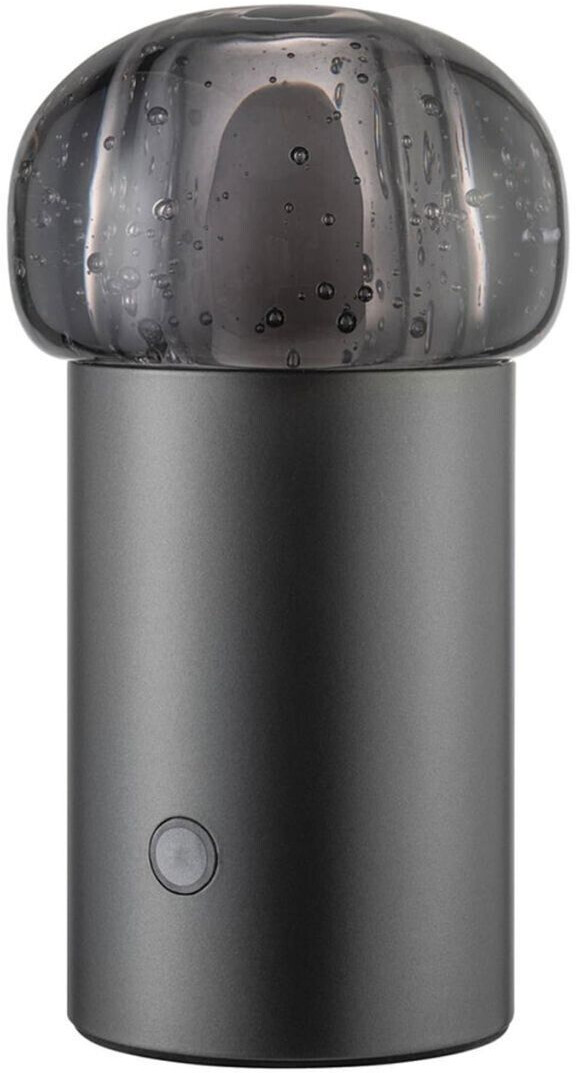 Blomus 67043